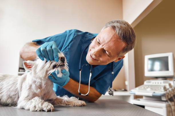 Best After-Hours Dental Trauma Care in Sparta, TN
